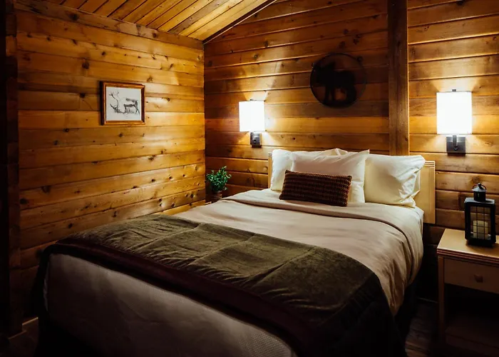 Denali Cabins